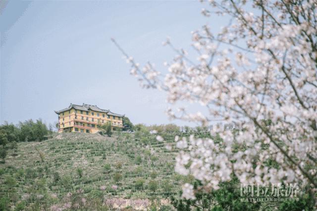 宁波网红游乐推荐,宁波室外十大网红游乐项目