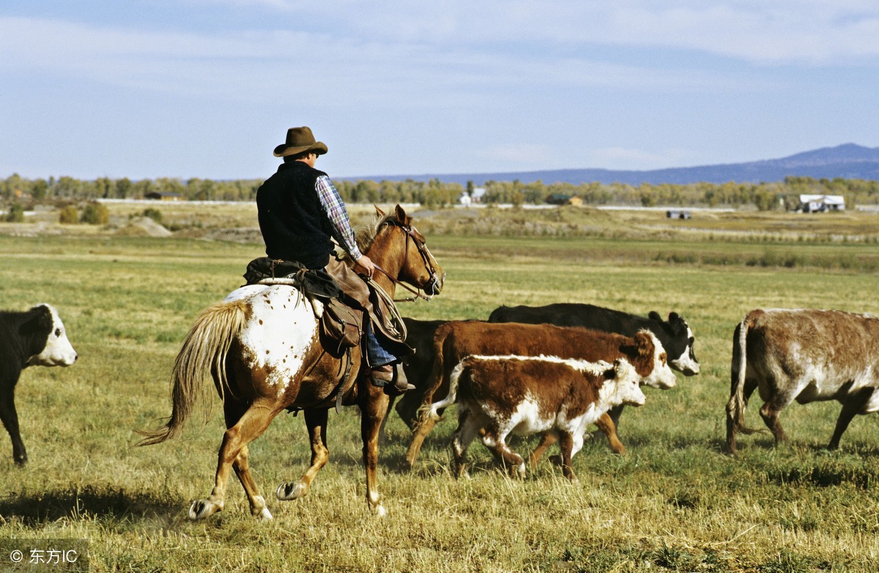 西部电影和牛仔的渊源,经典西部牛仔影片