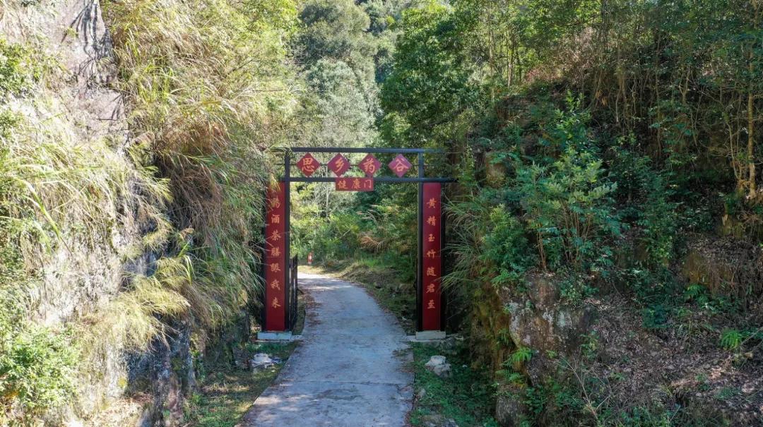 江西深山里，有人正布局黄精产业，想不到他还是一位跨界新农人