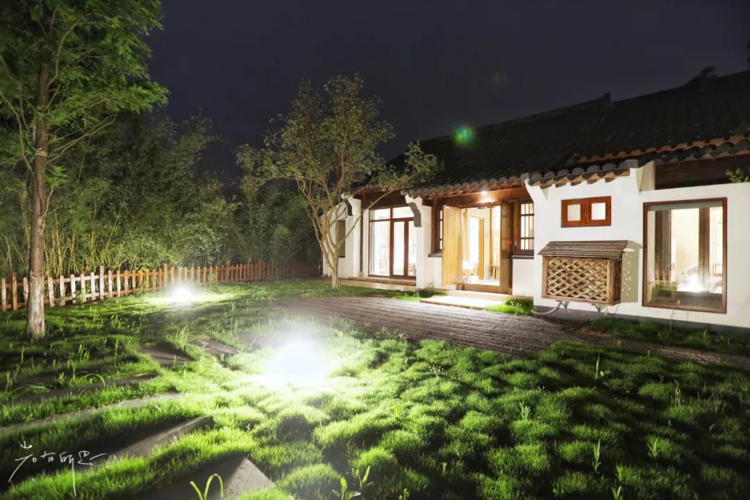 三月赏花一日游上海景点,本月上海赏花一日游最佳去处