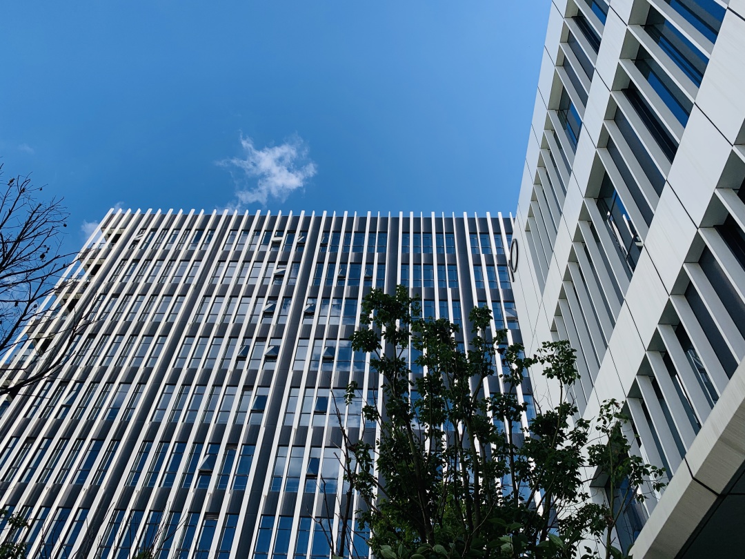 浦软色彩｜园区里的“科技蓝”