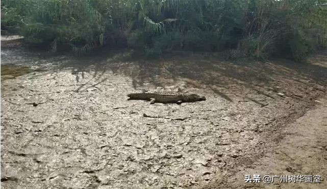 考上湖大是什么水平,考上湖美一年花多少