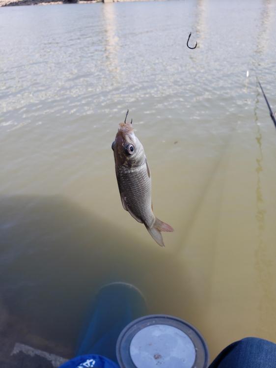 金迦潘钓杆,金迦潘求败渔具好用吗