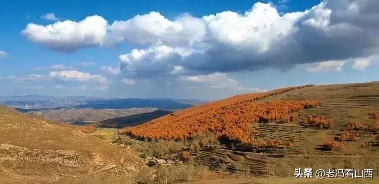 山西省应县历史,历史上山西浑源