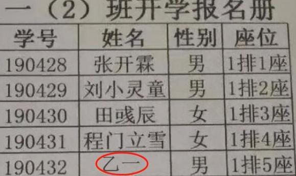 小学生因名字走红连名带姓共两笔,小学生因姓名笔画少走红