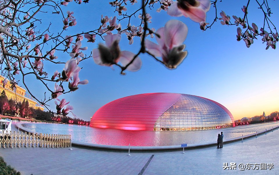 @所有人，周末一起赏玉兰，五处北京玉兰美景