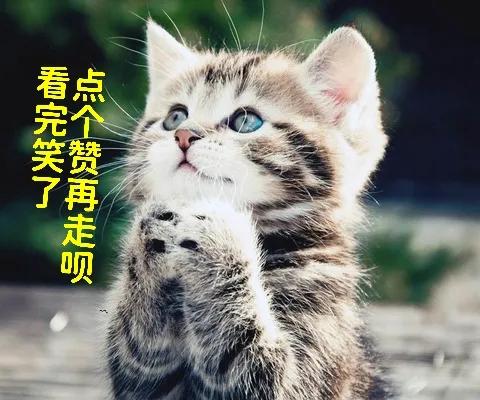 15秒成年人搞笑幽默段子,史上最搞笑的段子笑死人