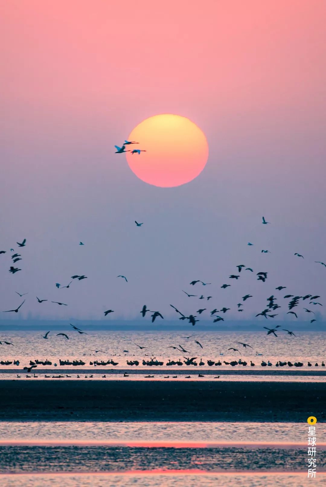 宜昌被低估的城市,湖北低估的旅游景点