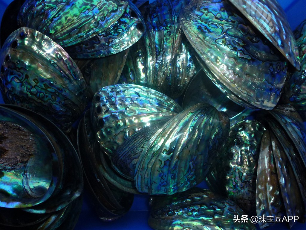 贝壳手工珠宝首饰,贝壳珠宝有哪些