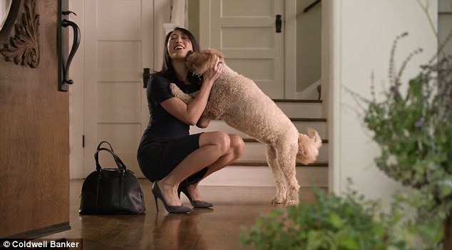 狗狗不凶它它就不听话怎么办,狗狗异常兴奋到处乱窜钻墙角