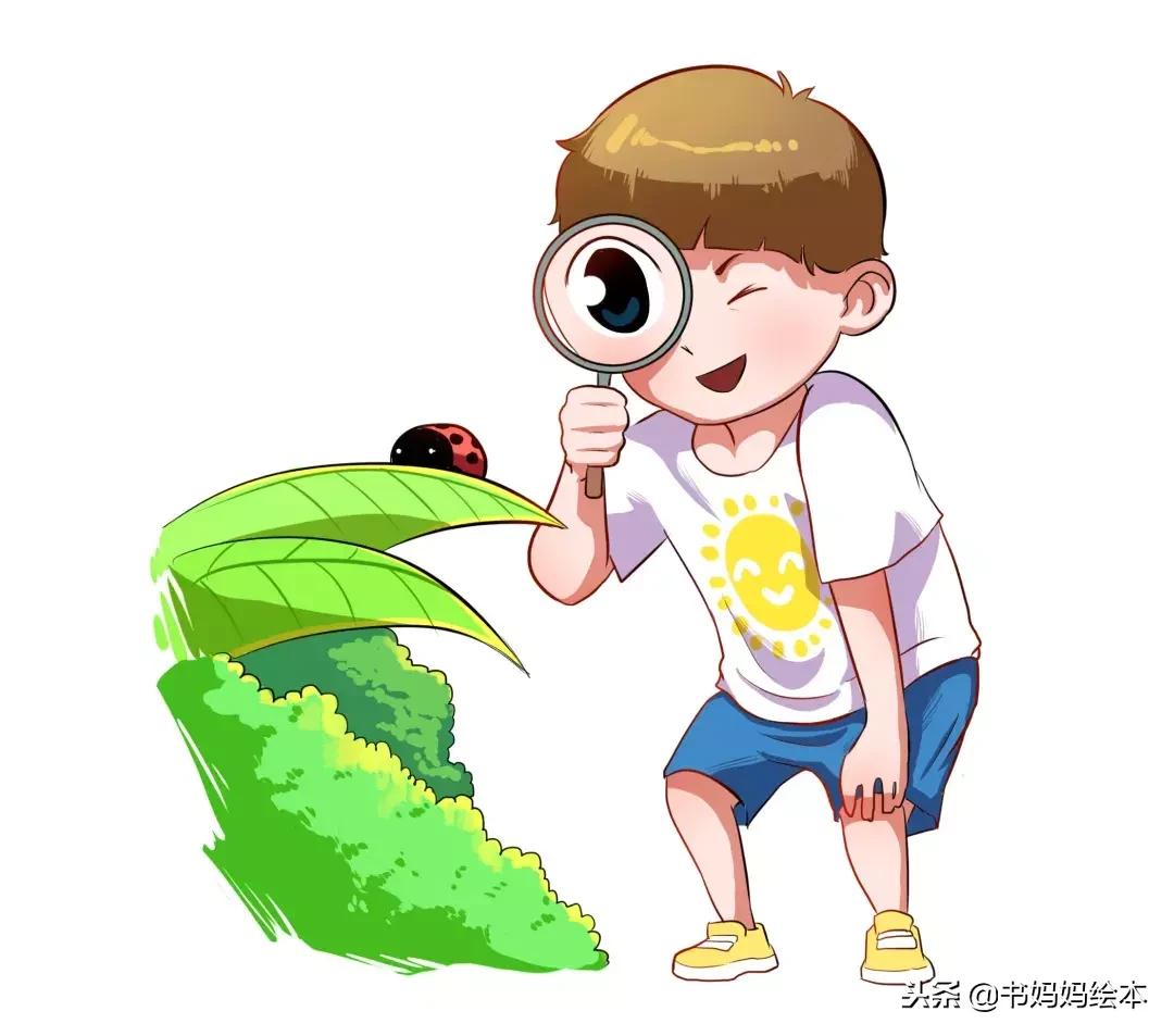 三岁孩子做饭种花,3岁儿童种花方法