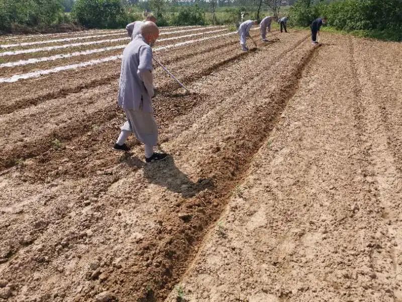 抢抓农时开展农业生产,农民纷纷抢抓春耕生产有利时机