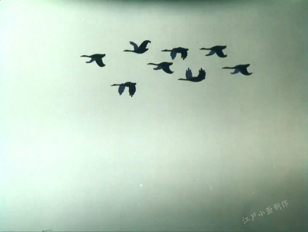 细思极恐无法遁逃后续,细思极恐完整版视频