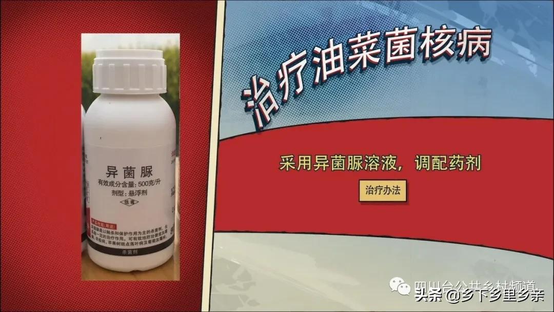 油菜得了病用什么药,油菜生病了怎么防治