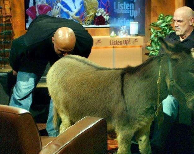 人物|姚明从球员到篮协主席,不一样的篮球赛场一样的篮球梦想