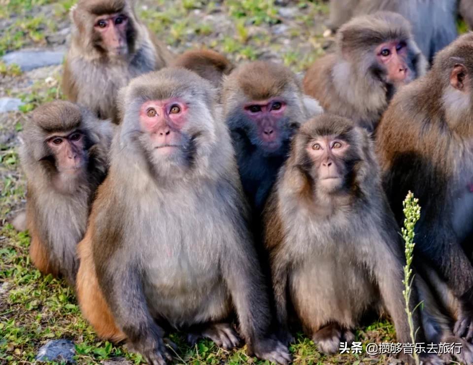 甘孜欢迎您,四川甘孜州欢迎您