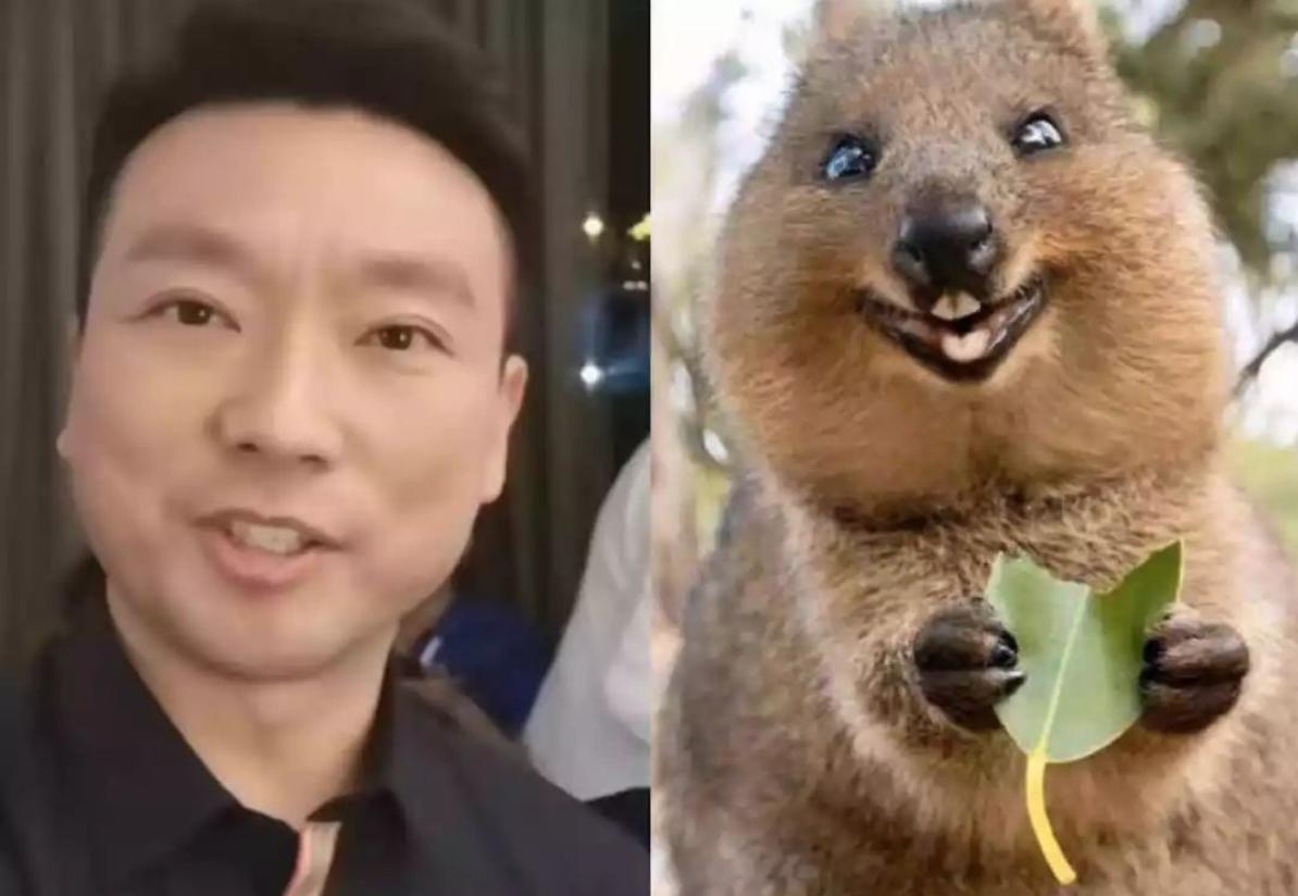 央视boys出道单曲首秀，最有文化的音乐节目回来了