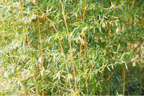 有景有画的诗,有景有情的诗写秋天的