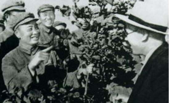 新疆2021年的新棉花,新疆棉花2020