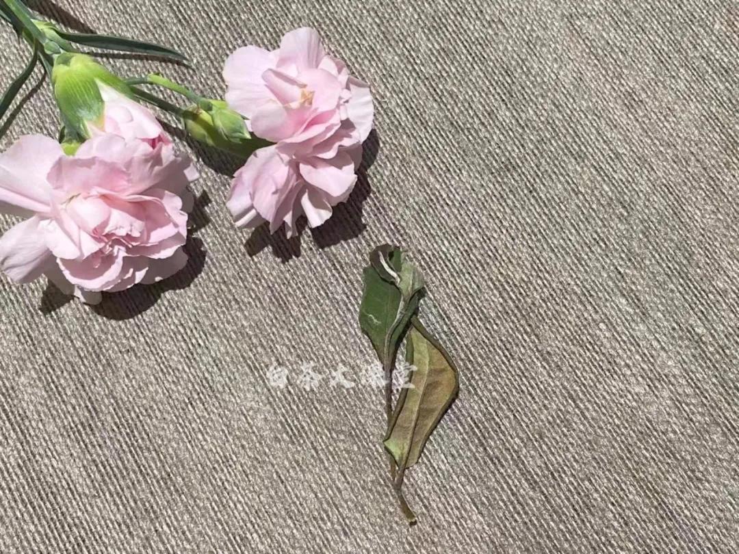 买的茶怎么防止被骗,如何才能买到好茶