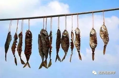 入境澳洲不能带商业样品,入境澳洲免申报物品