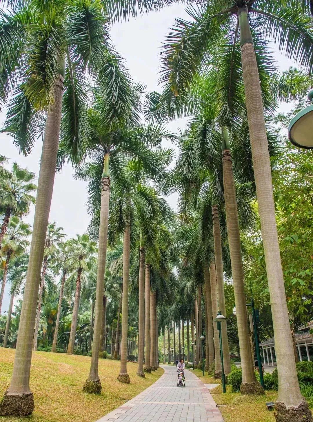 广州花都公园景点地图 (花都旅游景点分布图高清版)