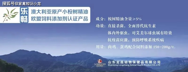 水产用乐畅桉树精油效果怎么样,桉树精油乐畅去除弧菌