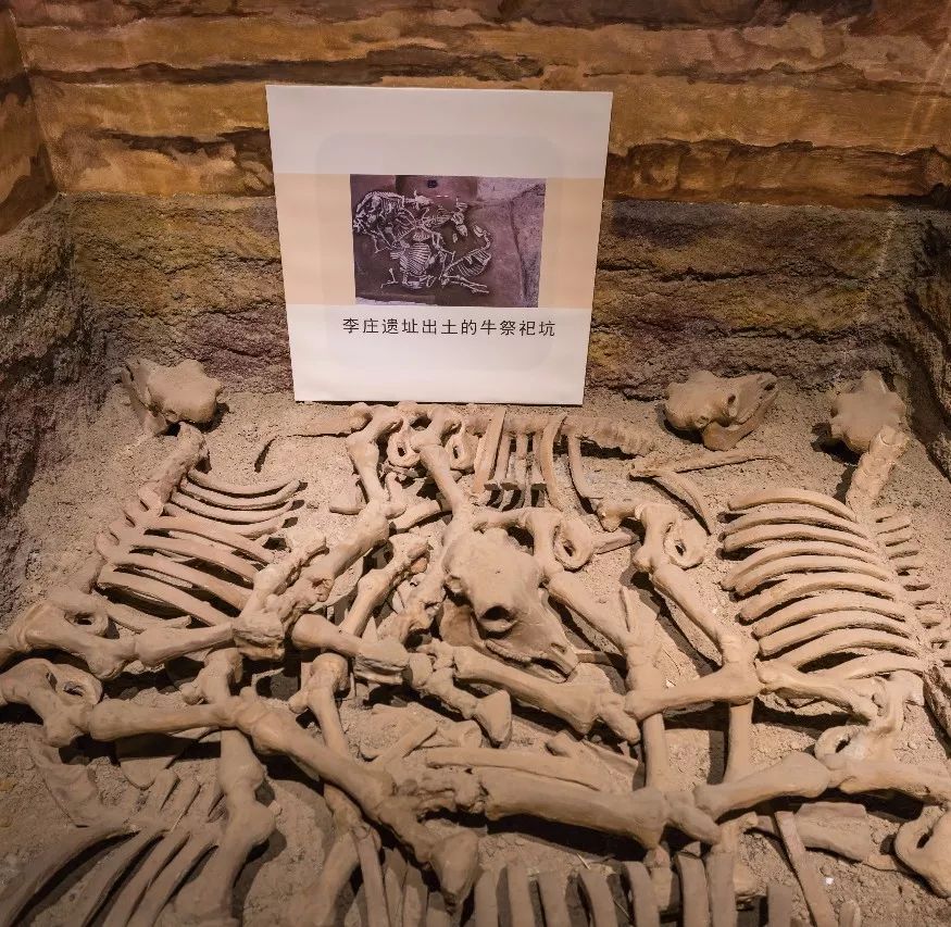 商丘市，浓缩版的河南