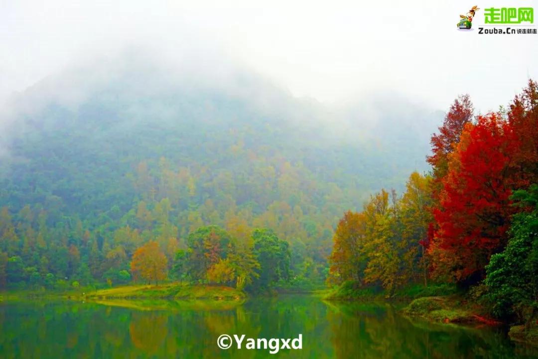 春节你的爱车可以停到这些地方,要过年了你的爱车保养了吗