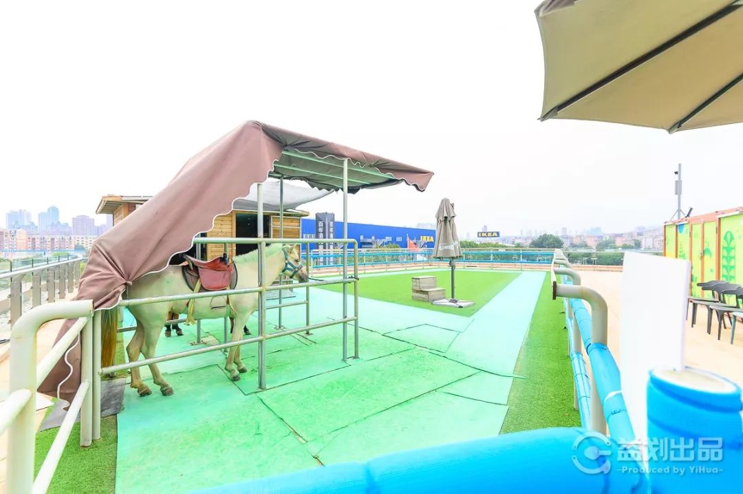 大连么么哒动物园 (大连小众动物园)