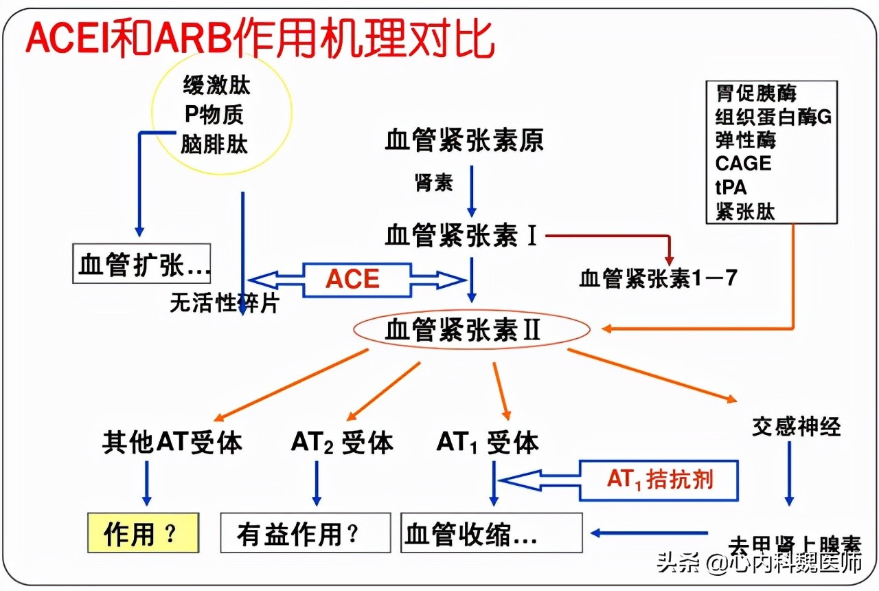 低压高高血压如何选择降压药,血压低压93应吃什么药降压