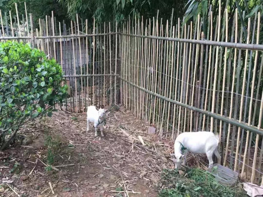宜兴山水田园温泉酒店,宜兴私人温泉汤屋
