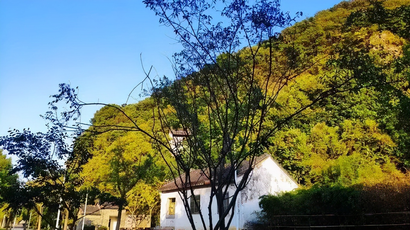 南京最新景点门票一览表,南京景点优惠政策