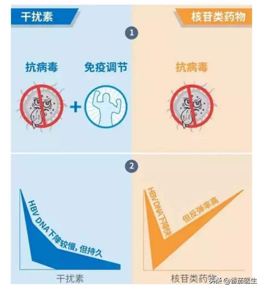 乙肝新药三期2021,乙肝新药进入三期的有哪些