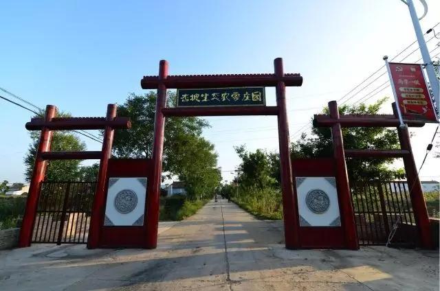 我在长武刚刚好，何必羡慕北上广