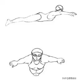 蛙泳怎么救人图解,梦觉蛙泳蹬腿时发力技巧图解