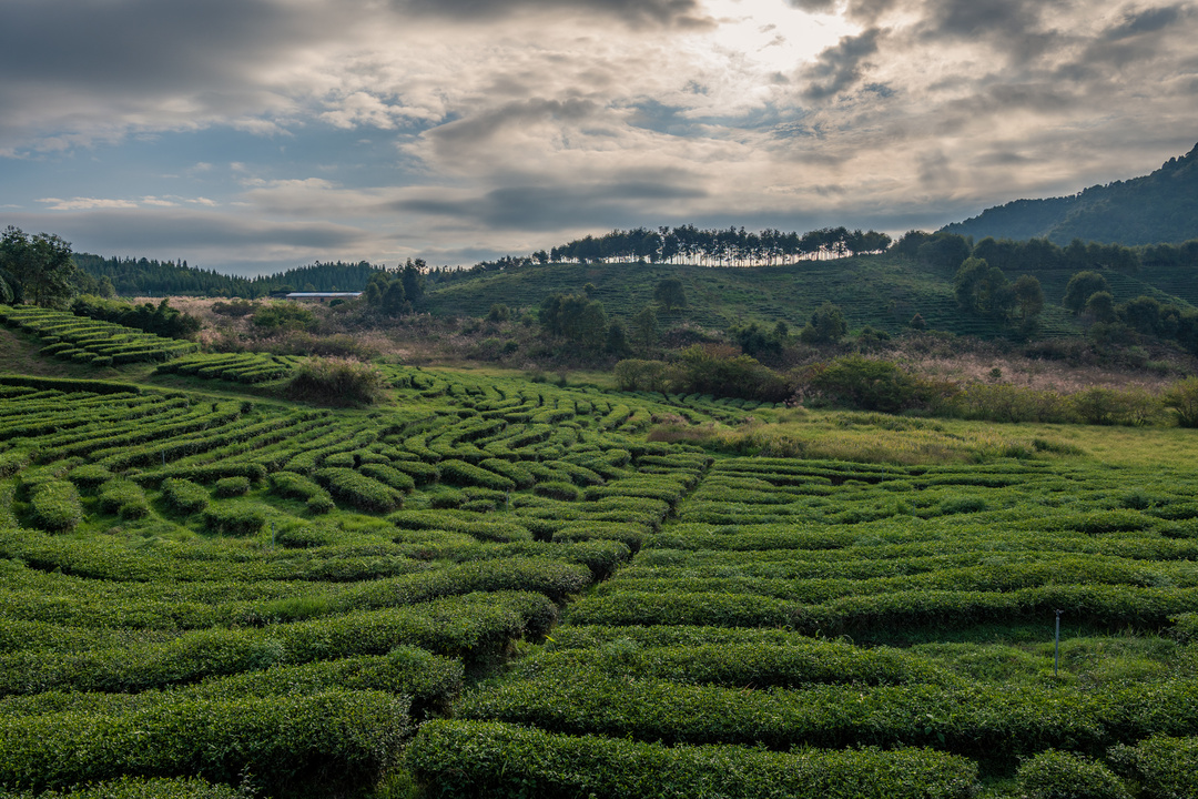 南靖景区有哪些好玩的,南靖风景好的地方推荐