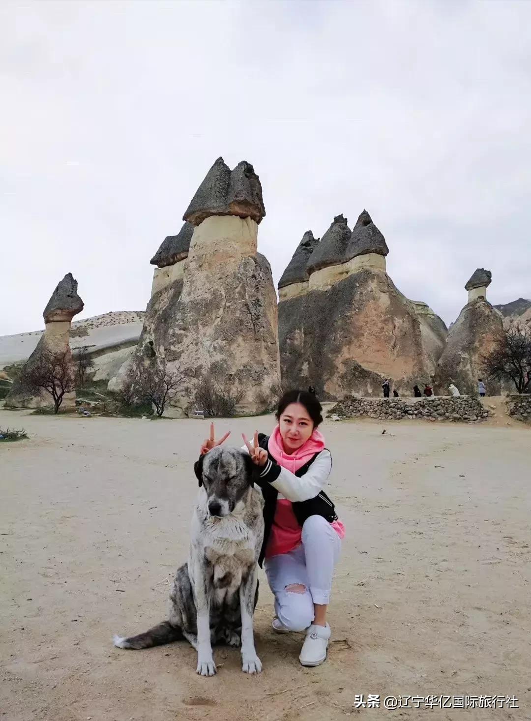 看世界┃当浪漫邂逅历史有一种美叫一眼千年