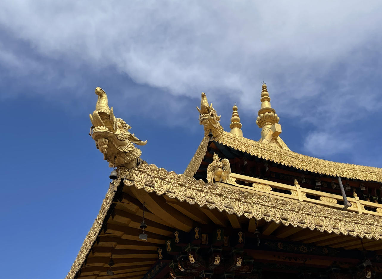 游1300年历史大昭寺，遇17岁无证导游，她说已做了四年讲解