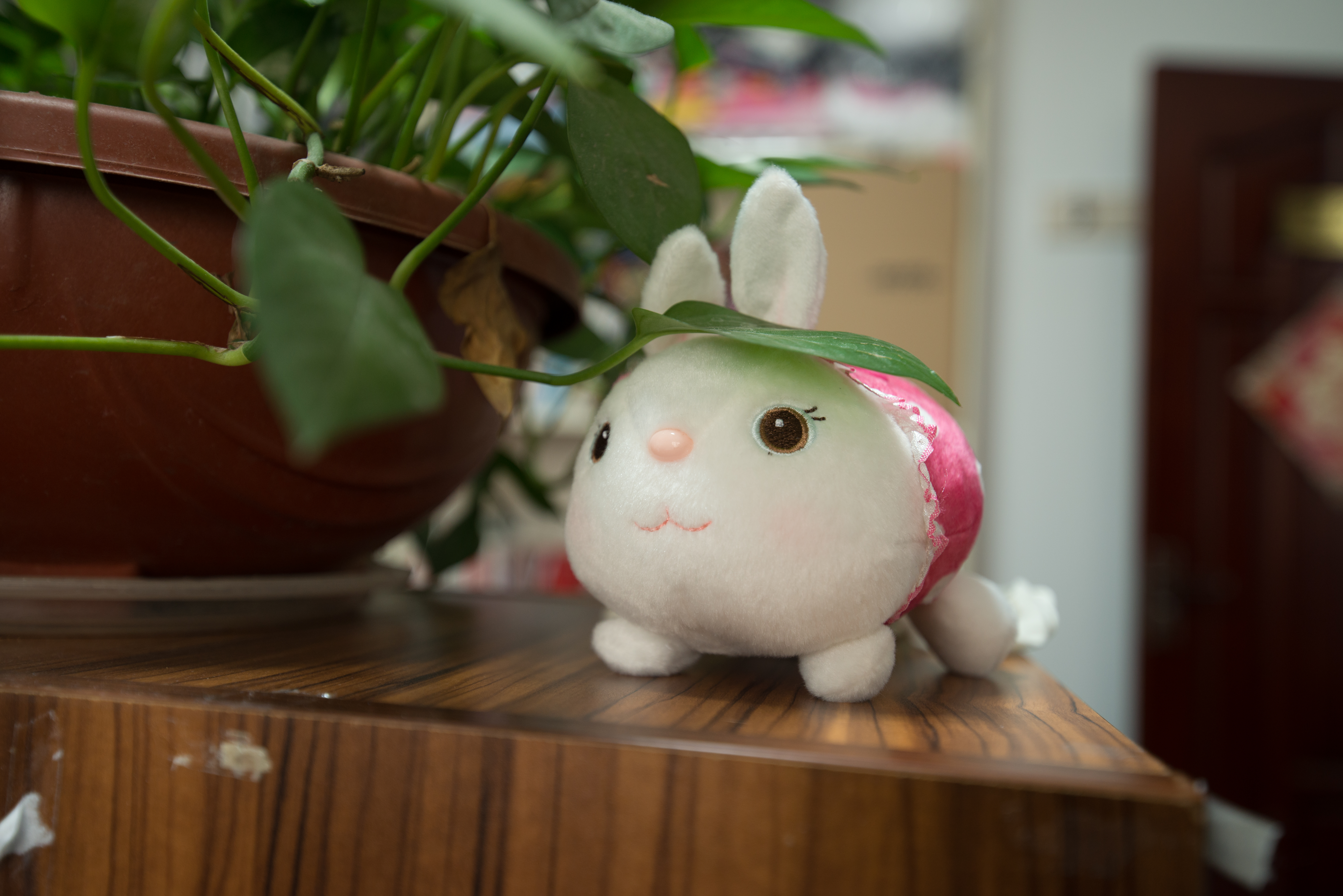 「老相机」照片中毒/二手富士X-PRO1+七工匠25mmF1.8的魅力