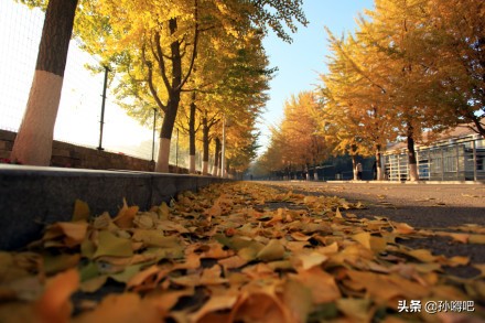 盘点沈阳最值得去的3大夜市,来沈阳必入的八条美食街有哪些