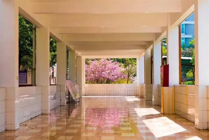 昆山最厉害的10所小学曝光,昆山十大高中