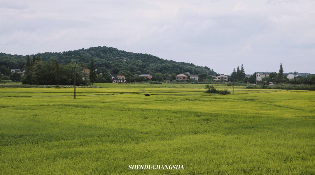 长沙旅游攻略必玩的十大景点介绍,长沙适合秋季打卡的景点