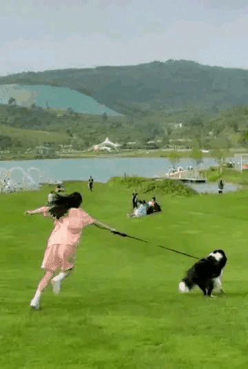 终于知道为什么女孩子要养大狗,女生养大狗对男朋友有什么坏处