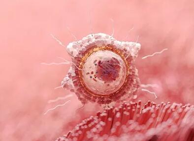 关于试管婴儿，最常见的28个问题汇总，总有一个能帮助到你