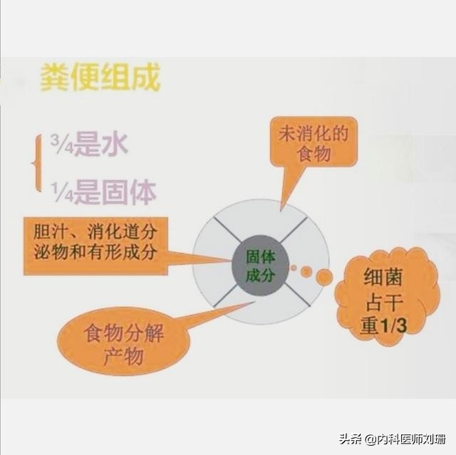 为什么医院需要检查大便,体检大便有必要查吗