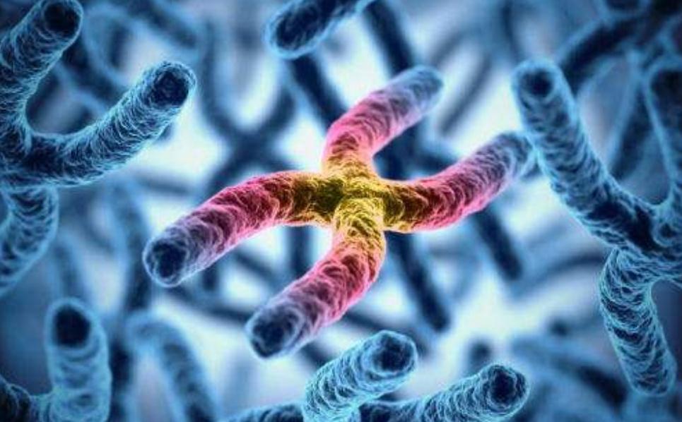 女孩子常见的基因缺陷,4种遗传病不传女儿