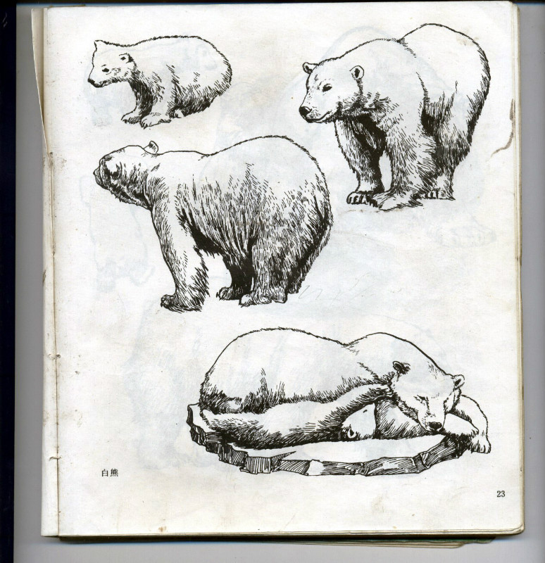 一百幅动物素描,近百幅动物画