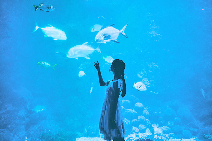 青岛三日游最佳攻略时间,青岛三日游攻略大全最新