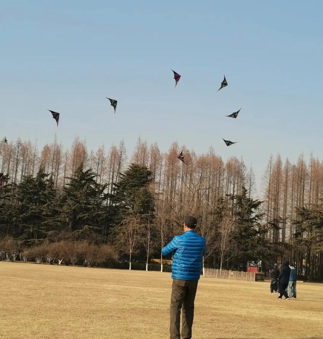 四月的青岛微风不燥,四月份的青岛什么好吃